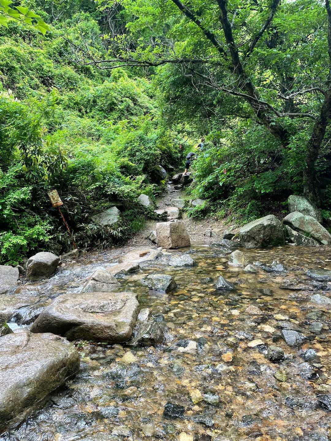 王道コース（芦屋川駅-六甲山-有馬温泉）の写真