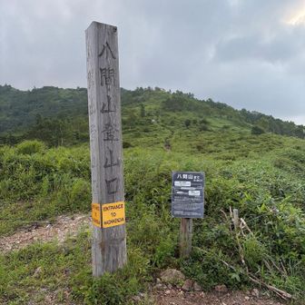 登山口