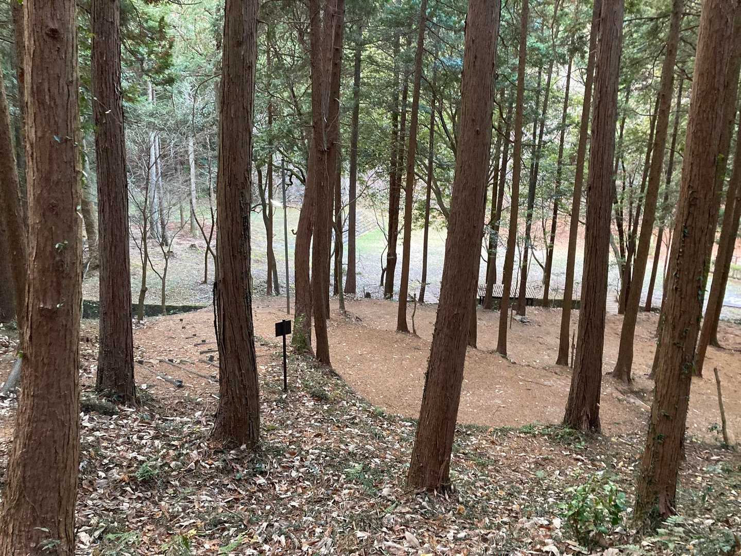 キャンプ場
