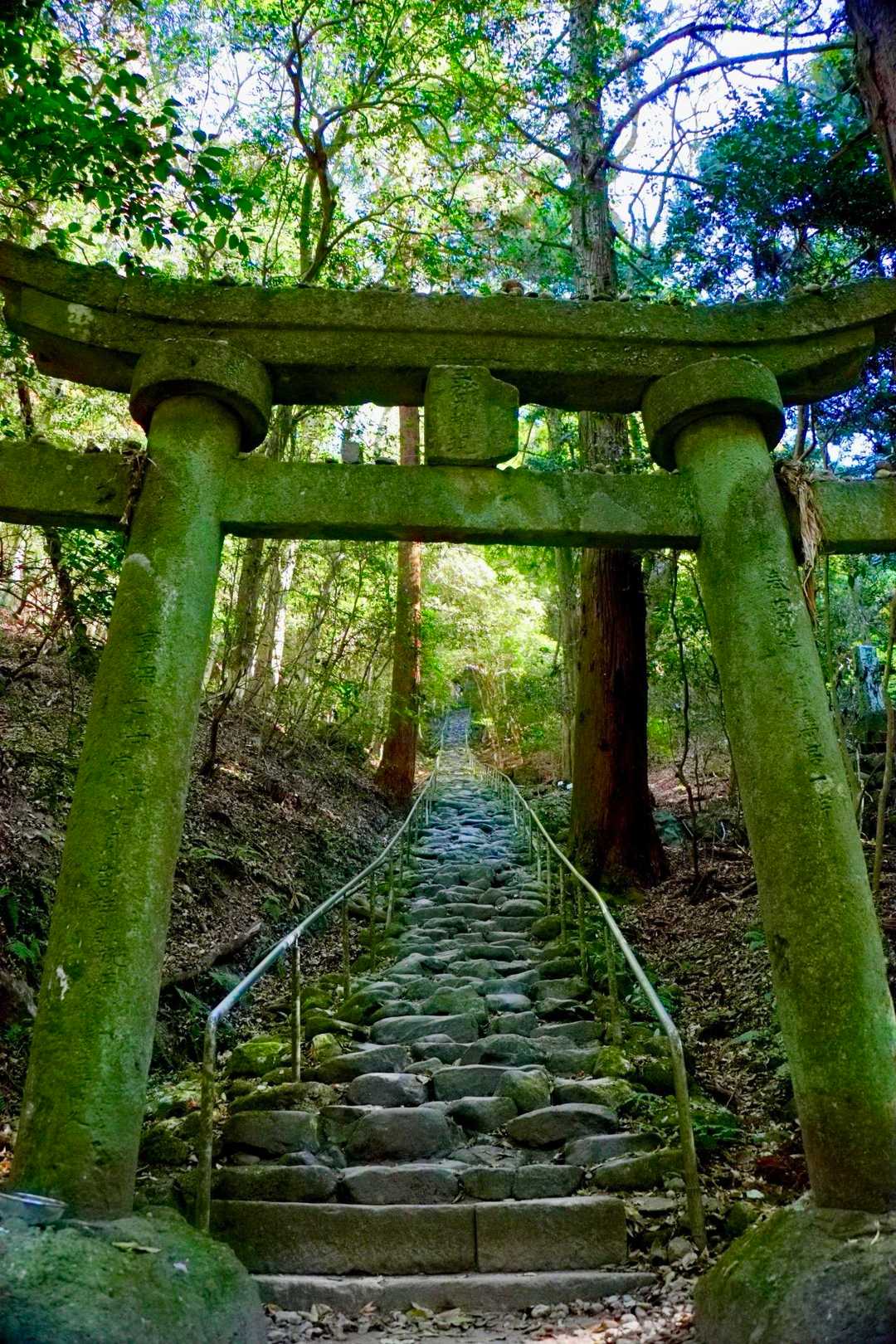 享保の時代に造られた鳥居をくぐり、あとは車道を歩いて登山口へ戻ります。

田原山
なんで今まで来なかったのだろうと思えるくらいアスレチック感漂う素晴らしい山でした。

アカルくん、またよろしくお願いします🐱🪄︎︎◝✩

ありがとうございました.•♬