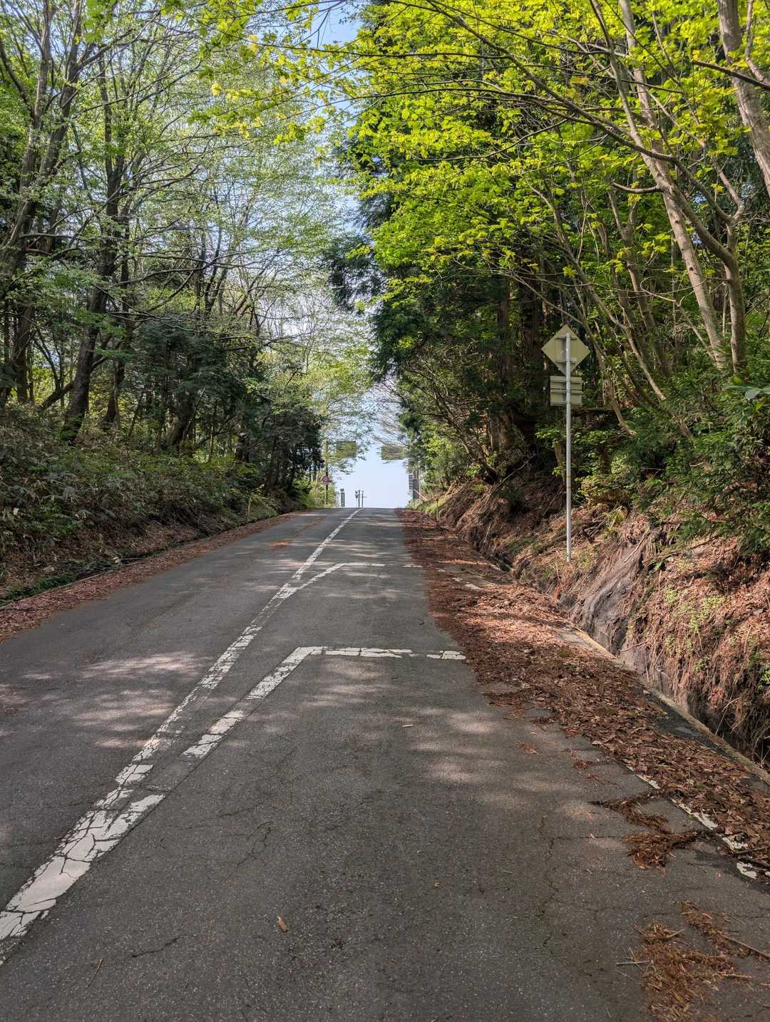 犬挾峠-下蒜山-中蒜山 往復コースの写真