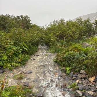 おはようございます☝️朝です
既に下山途中

詳細にも書いた通り
夜から朝にかけて死を覚悟した瞬間でした‼️

翌朝、勇者4人と覚悟を決めて下山開始した
線状降水帯の影響で豪雨のため登山道は川😱
最初は避けて歩いていたが靴の中は水溜りで……
もうどうでもよくなった💧