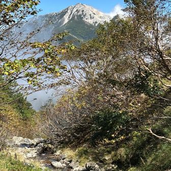 白い石灰岩を纏った甲斐駒ヶ岳がきれいに望めます。見慣れたとはいえ名残惜しさを感じさせます。