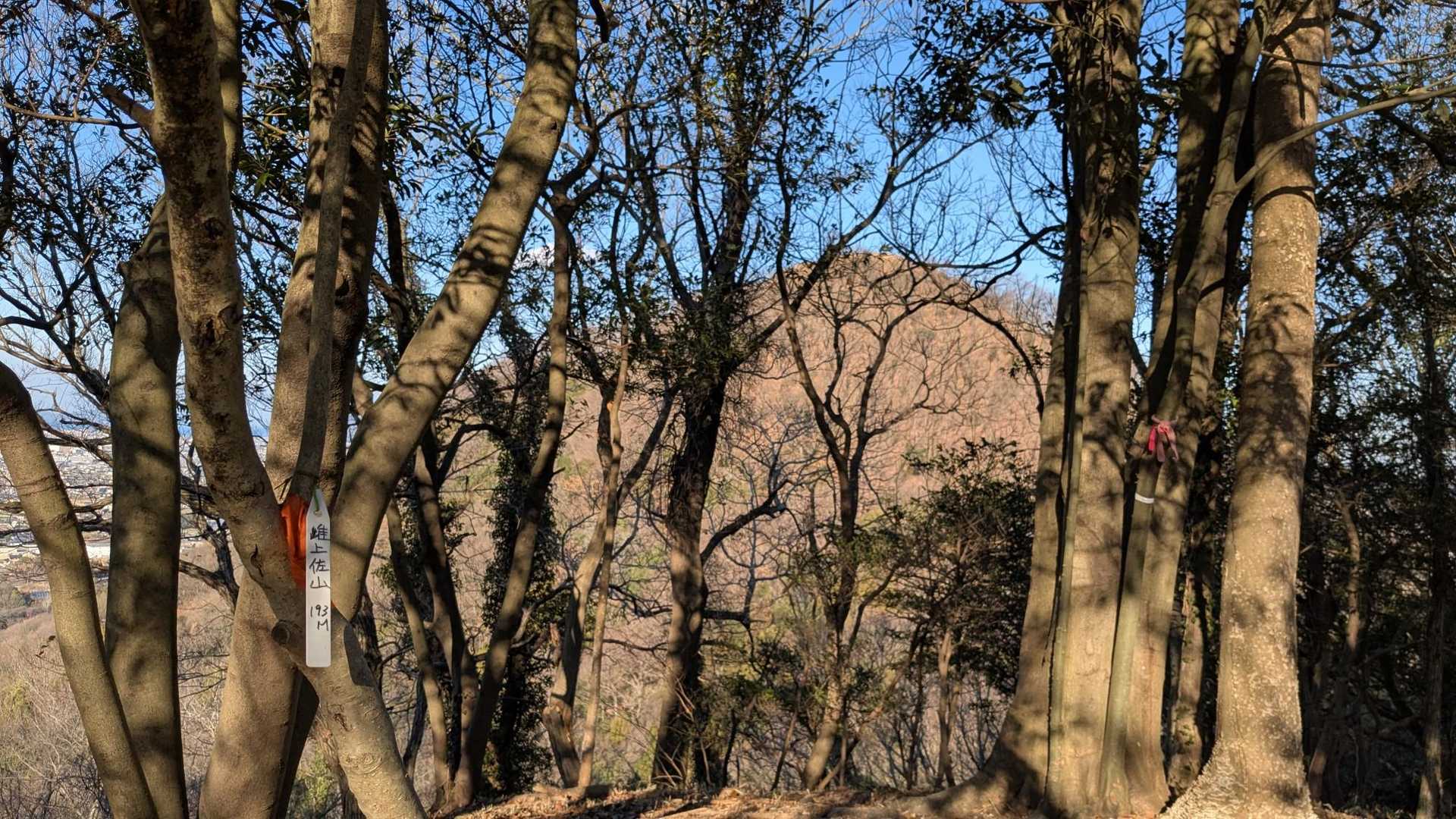 2座目
雌上佐山！