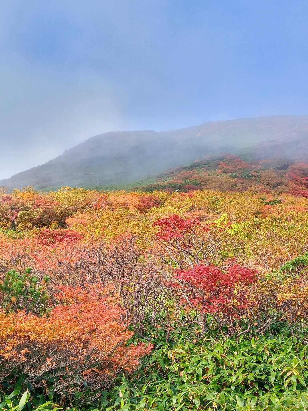 峠の茶屋登山口-朝日岳-1900m峰-三本槍岳-大峠 周回コースの写真