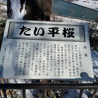 たい平桜🌸との事

なるほど🧐