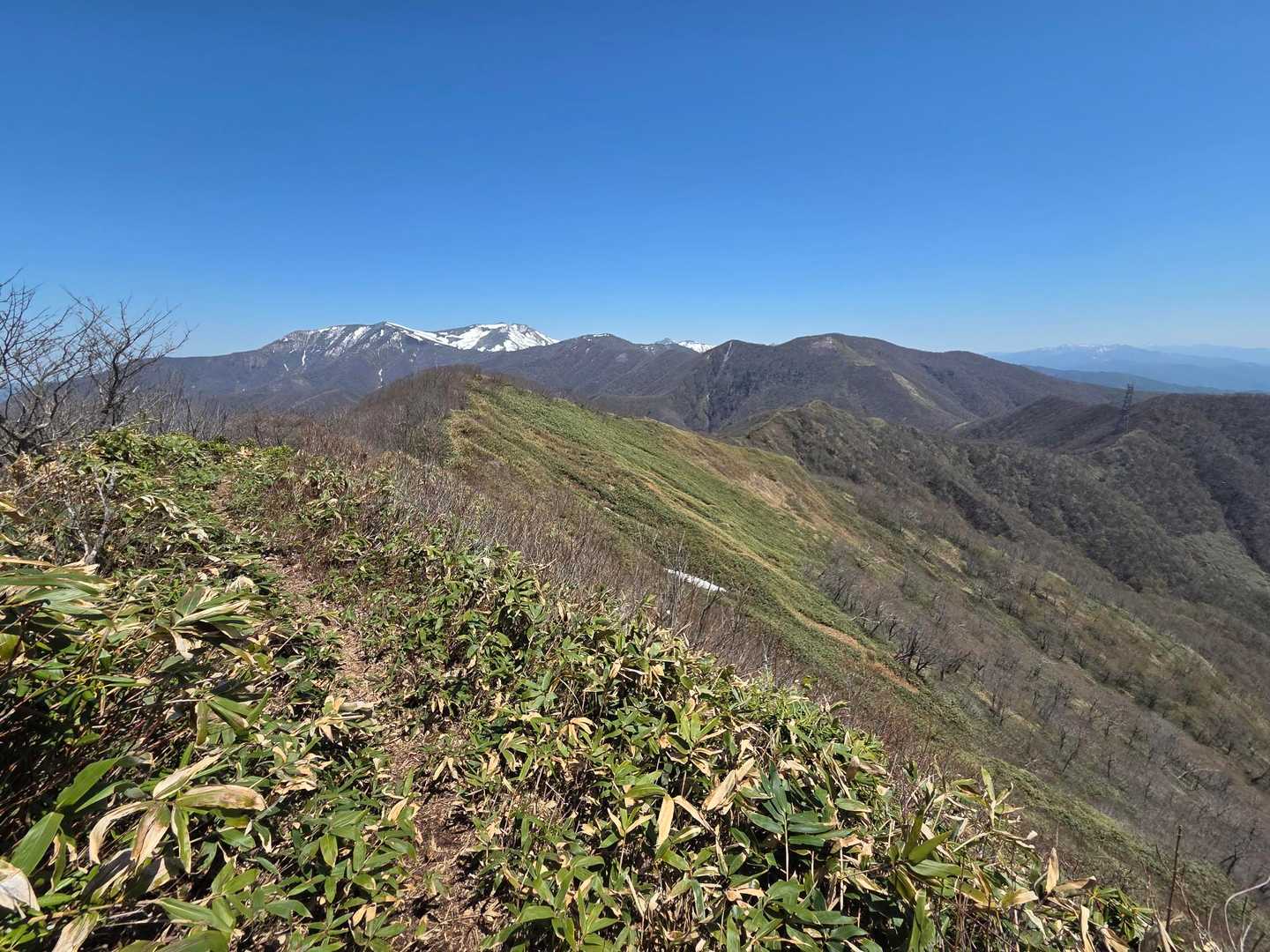 こんな感じの山歩きをしたのは、かなり久しぶりな気がします😊