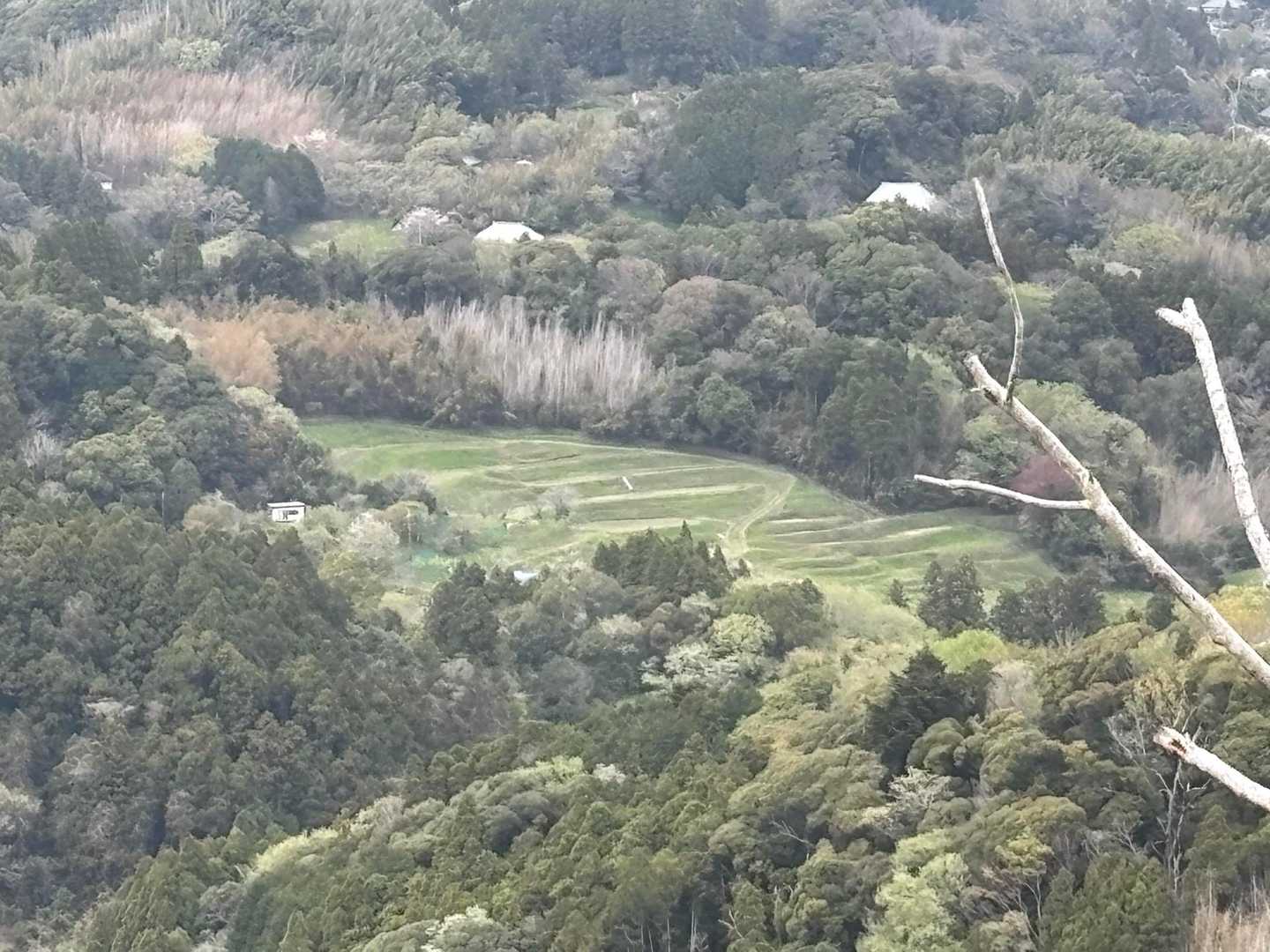 大山千枚田です✨️