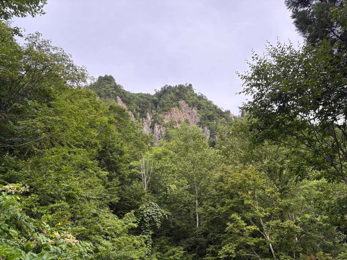ワルサ峰-佐武流山 往復コースの写真