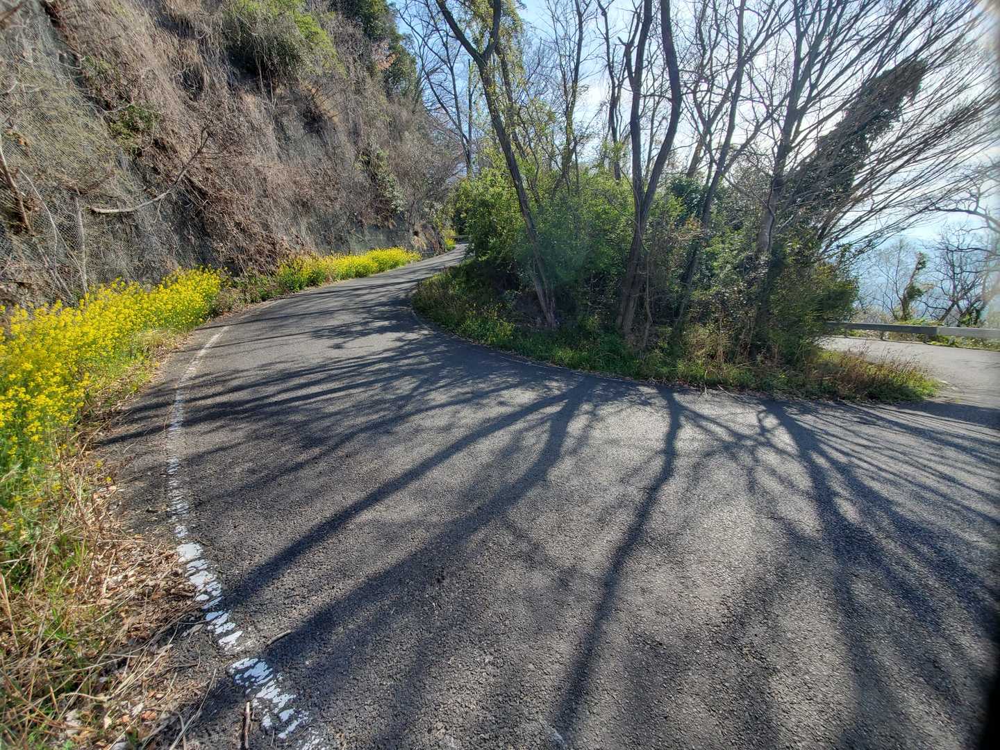 途中、車道と合流
