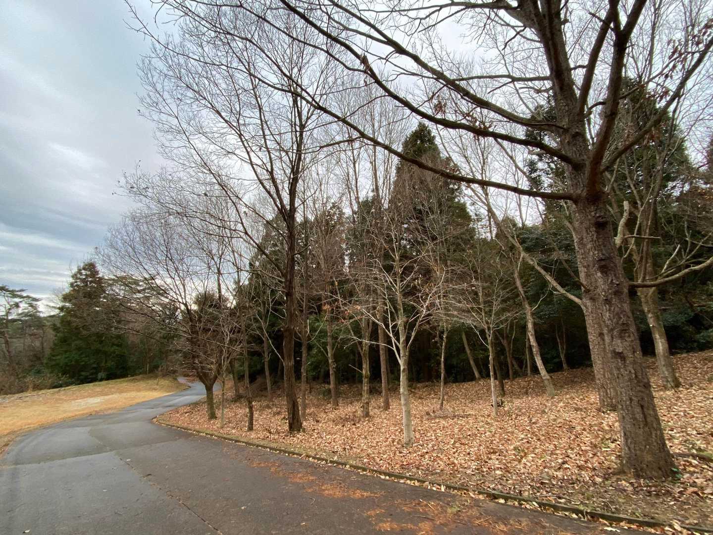 YAMAPユーザーの皆様
今年も宜しくお願いします
山でお会いしましょう😊