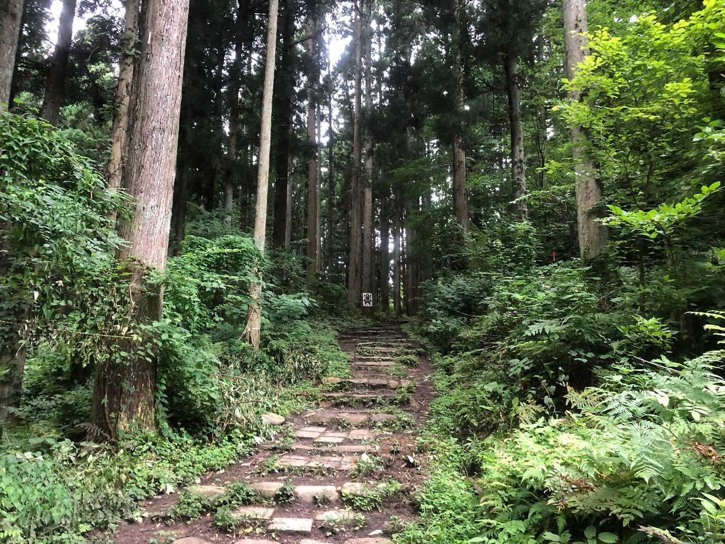 いざ、菩提寺山へ⛰🏃‍♂️