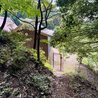 下山しました。