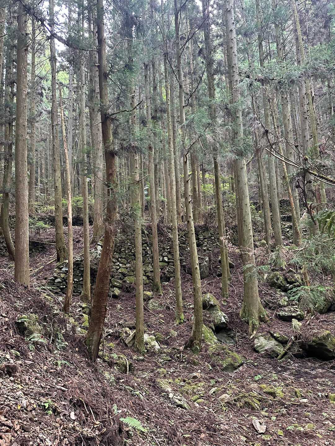 塩塚峰 周回コースの写真