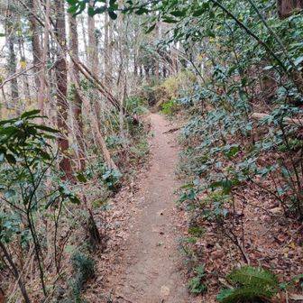 ここまでくれば、昨日や今日の今までに比べたら、高速道路みたいなもんです。