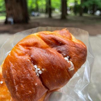 トリュフの塩パン