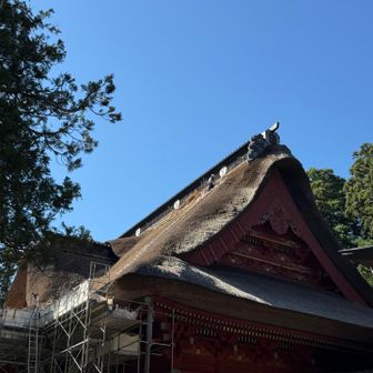 三神合祭殿茅葺葺替え作業中
茅葺の建築物でも最大クラスではなかろうか…

今回は感じなかったが初めて三神合祭殿を見たときは鳥肌が立ったのです🙏
