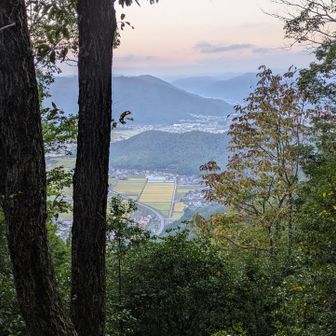 実際に見るとこんな感じです。