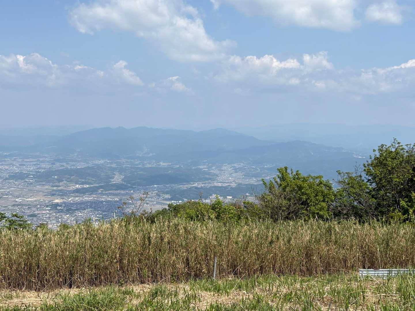 5月には圧巻のツツジの大群生。大阪・奈良を望む大和葛城山の写真