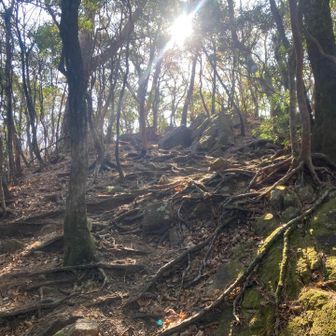 雄岳頂上は、すぐそこ