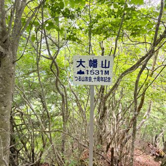 大幡山⛰️
