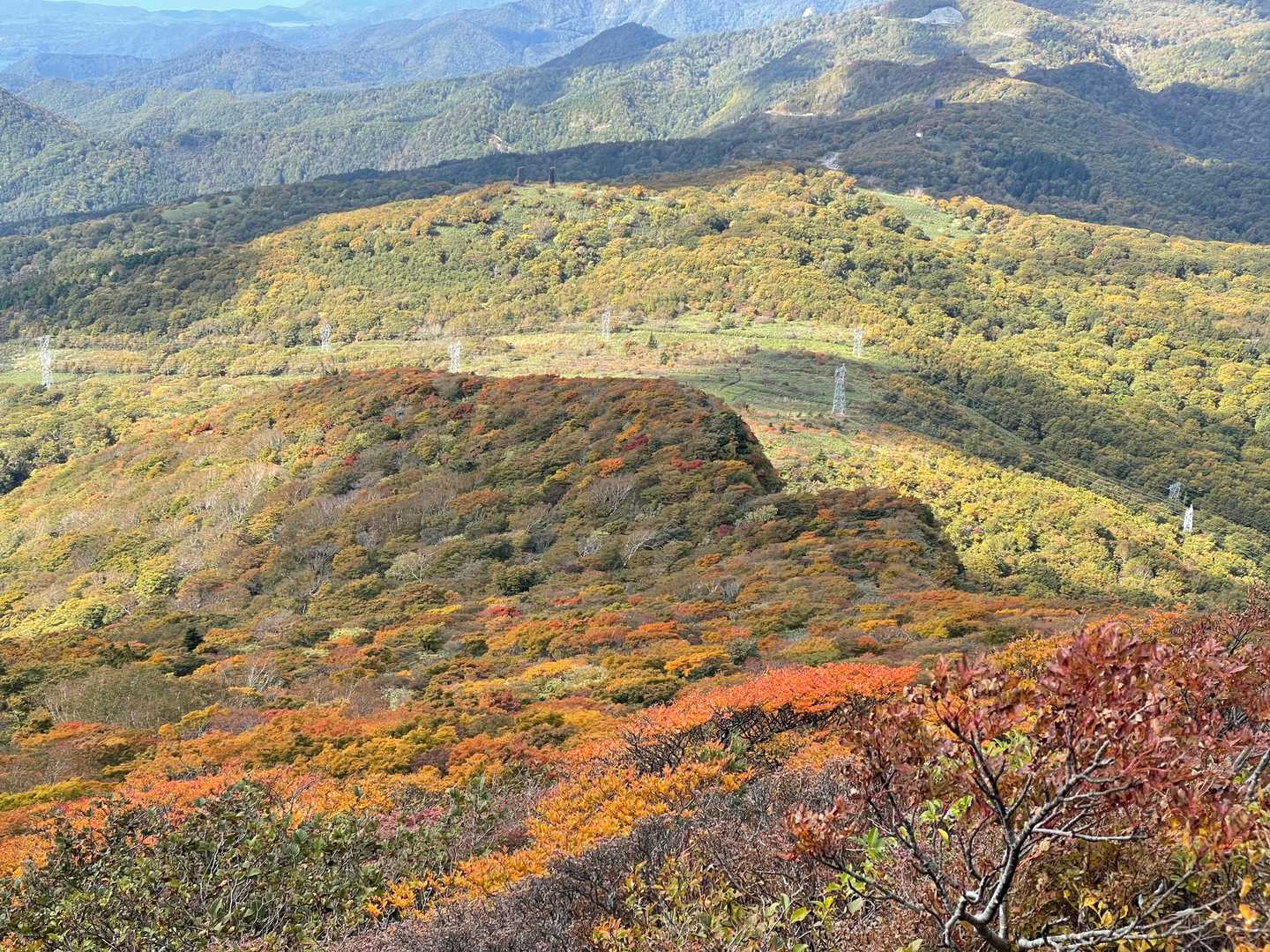 紅葉と送電線
