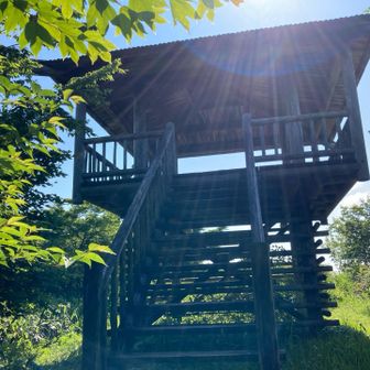 羅漢山到着ー、目の前には東屋がでーーん！
日差しを避けれるので有り難い🙏