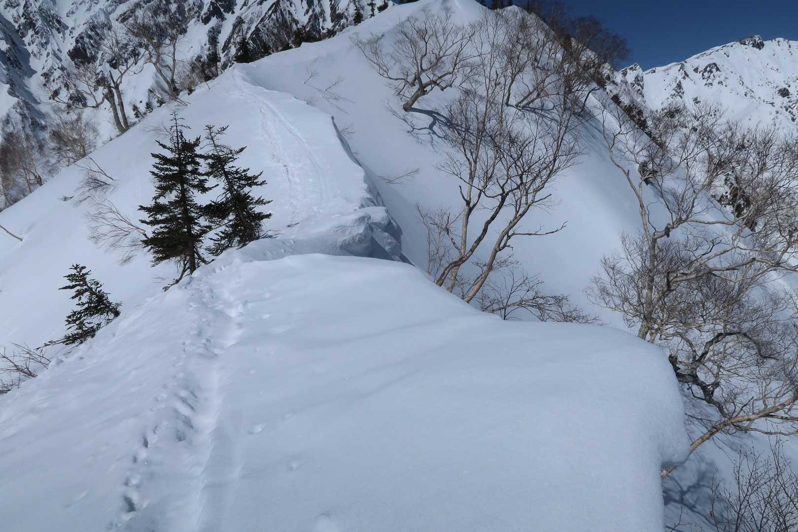 今日は時々先頭になる感じ