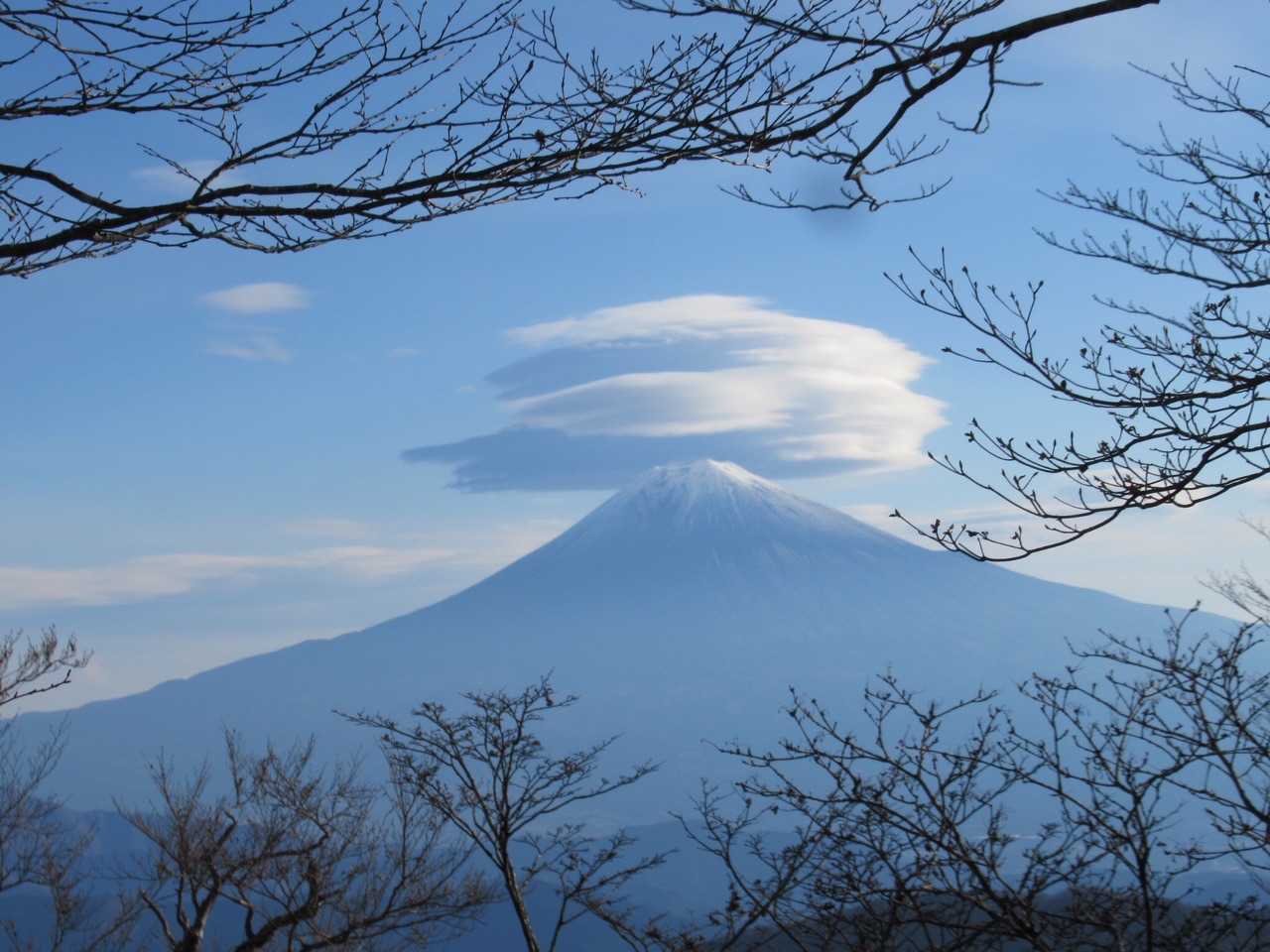 綿菓子みたいな雲を乗せてるよ