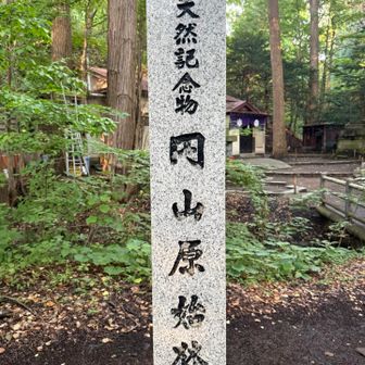 原始林