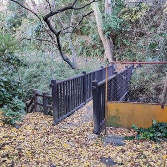 以前、橋が老朽化で破損してて通行禁止となってるとの報告がありましたが、治って通れる様になってましたね。