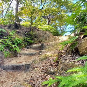 　　　　🥾午後の部
この山の手前、靴を履かない素足の男性が後ろから 👣👣
            🦶👀ビックリ‼️

👵「どうぞ」
👨足早に、見えなくなりました
👵凄すぎ、大丈夫ですか？