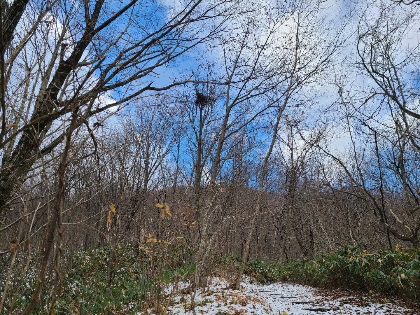 青空　嬉しい　風も無く穏やか