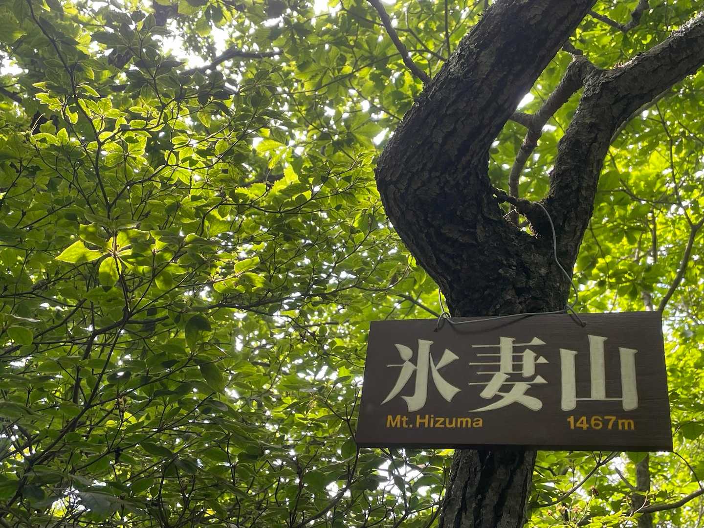 氷妻山到着( *´꒳`* )
ピークって感じしないし眺望もないです〜