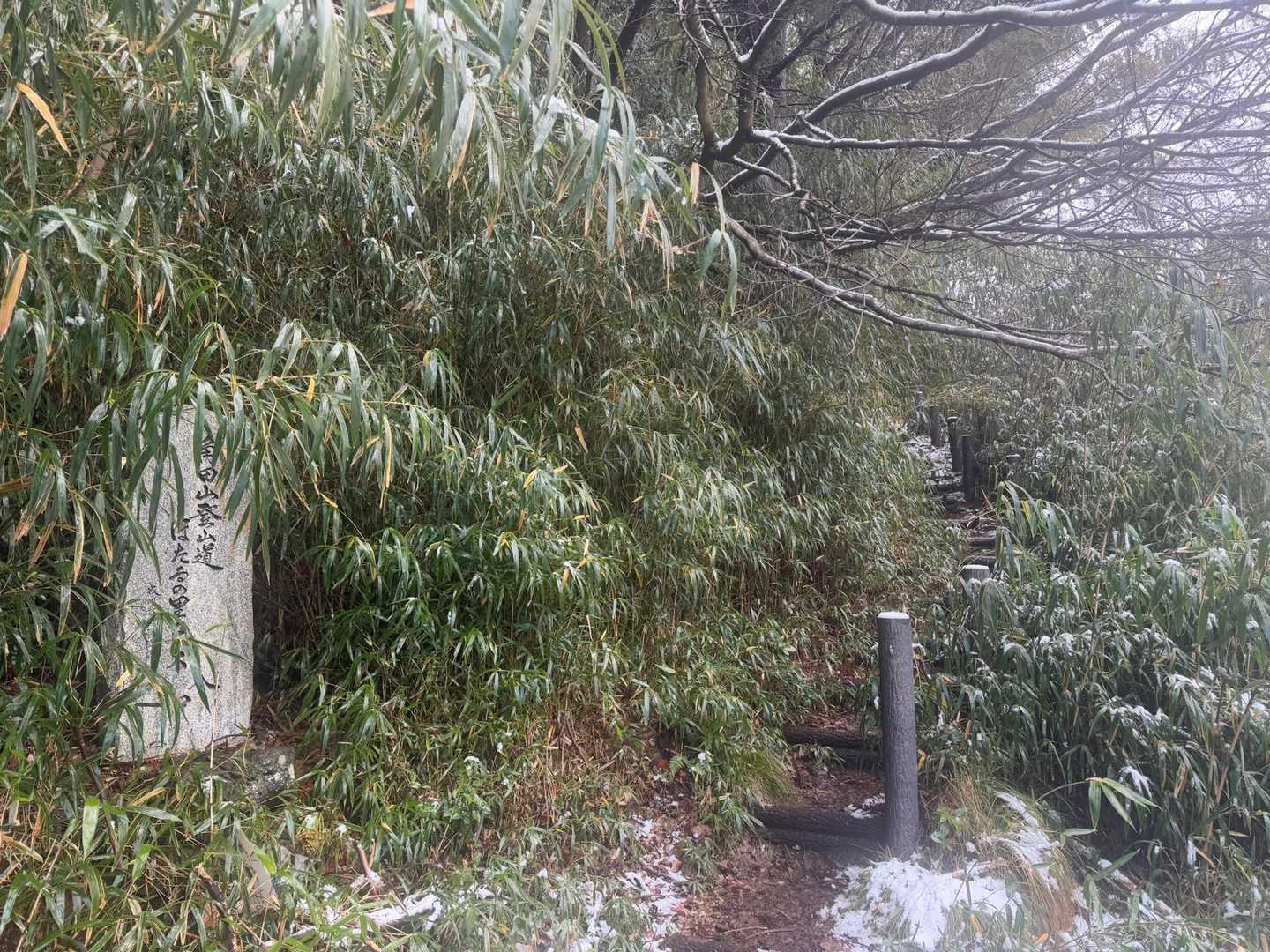 登山口を出発！
久しぶりなのでワクワクする☺️