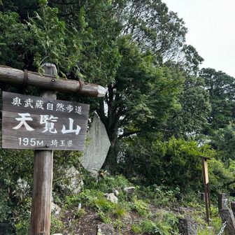 あっという間に
天覧山のピーク⛰️