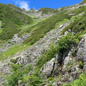 あ〜夏山ですね〜
