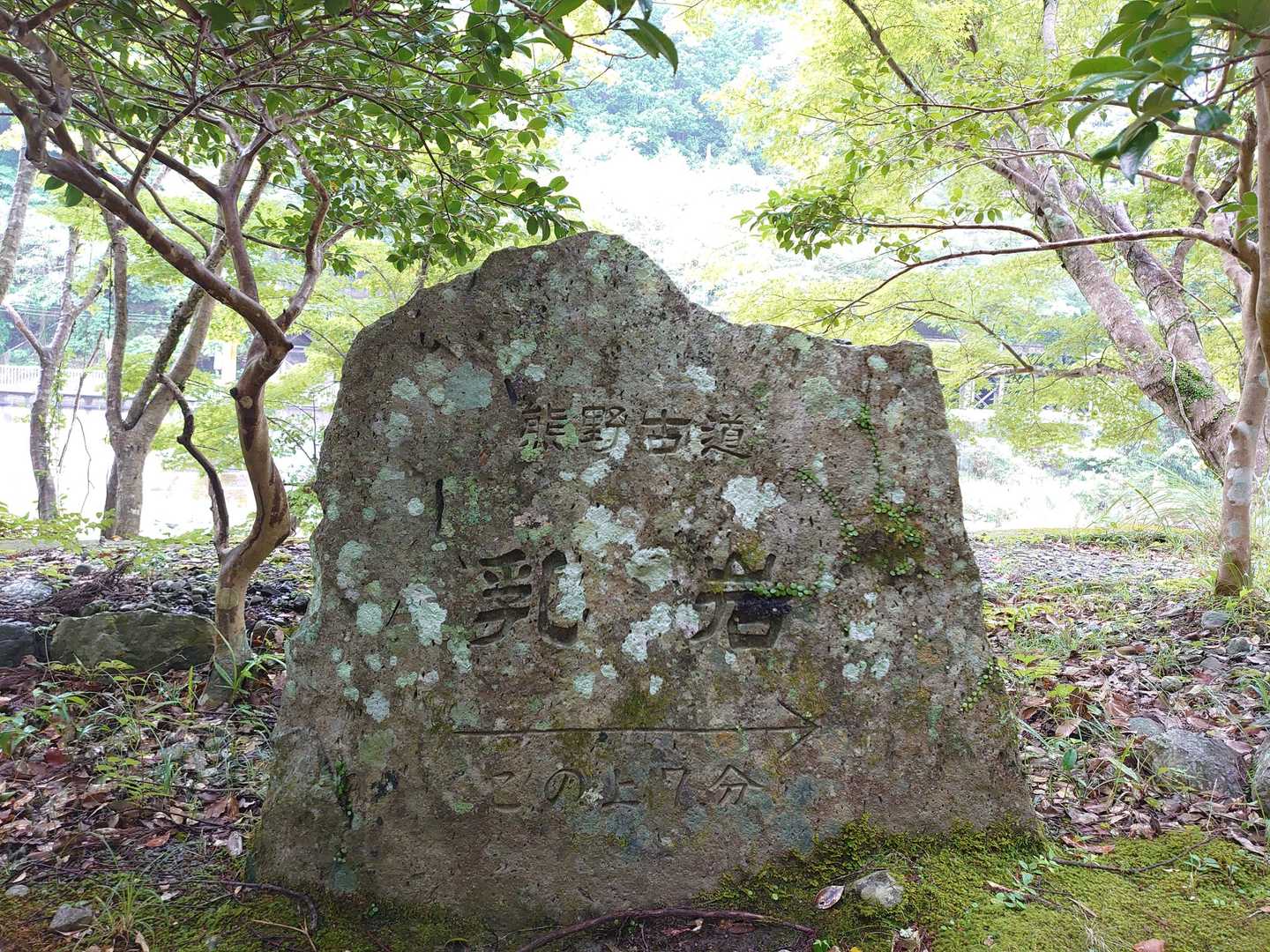 滝尻王子-不寝王子-剣ノ山-高原熊野神社 往復コースの写真