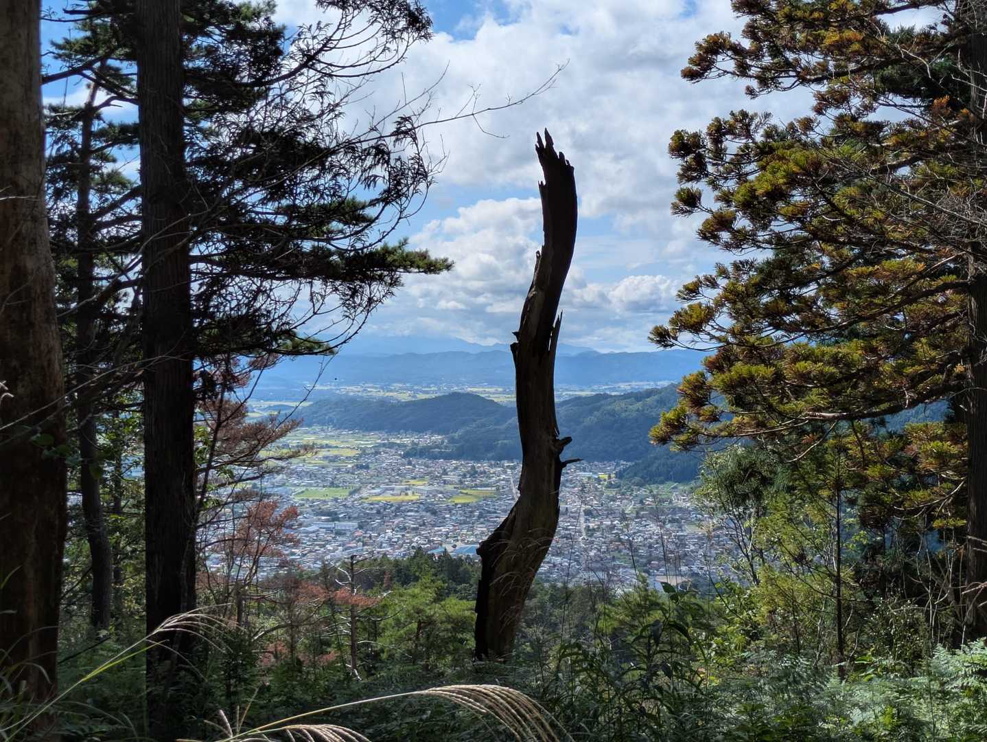 振り返り、南陽市の街並みと、焼けた樹木🌳1日も早く、元の緑の山に戻れますように⋯🍀