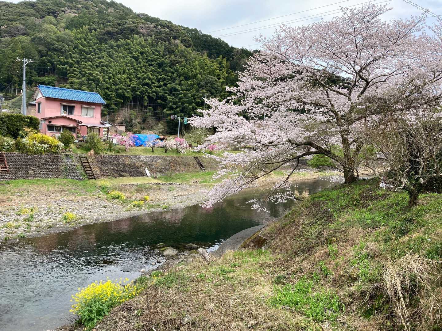 石谷山 往復コースの写真