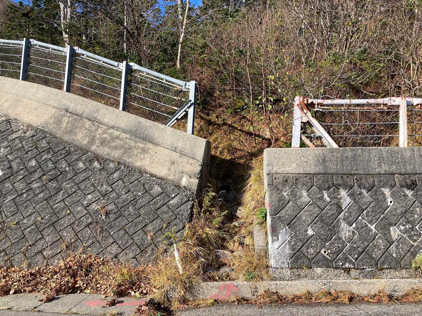 ここの登山口は、通り過ぎて戻りました（笑）
YAMAPのマップもじっくりみよ〜と。