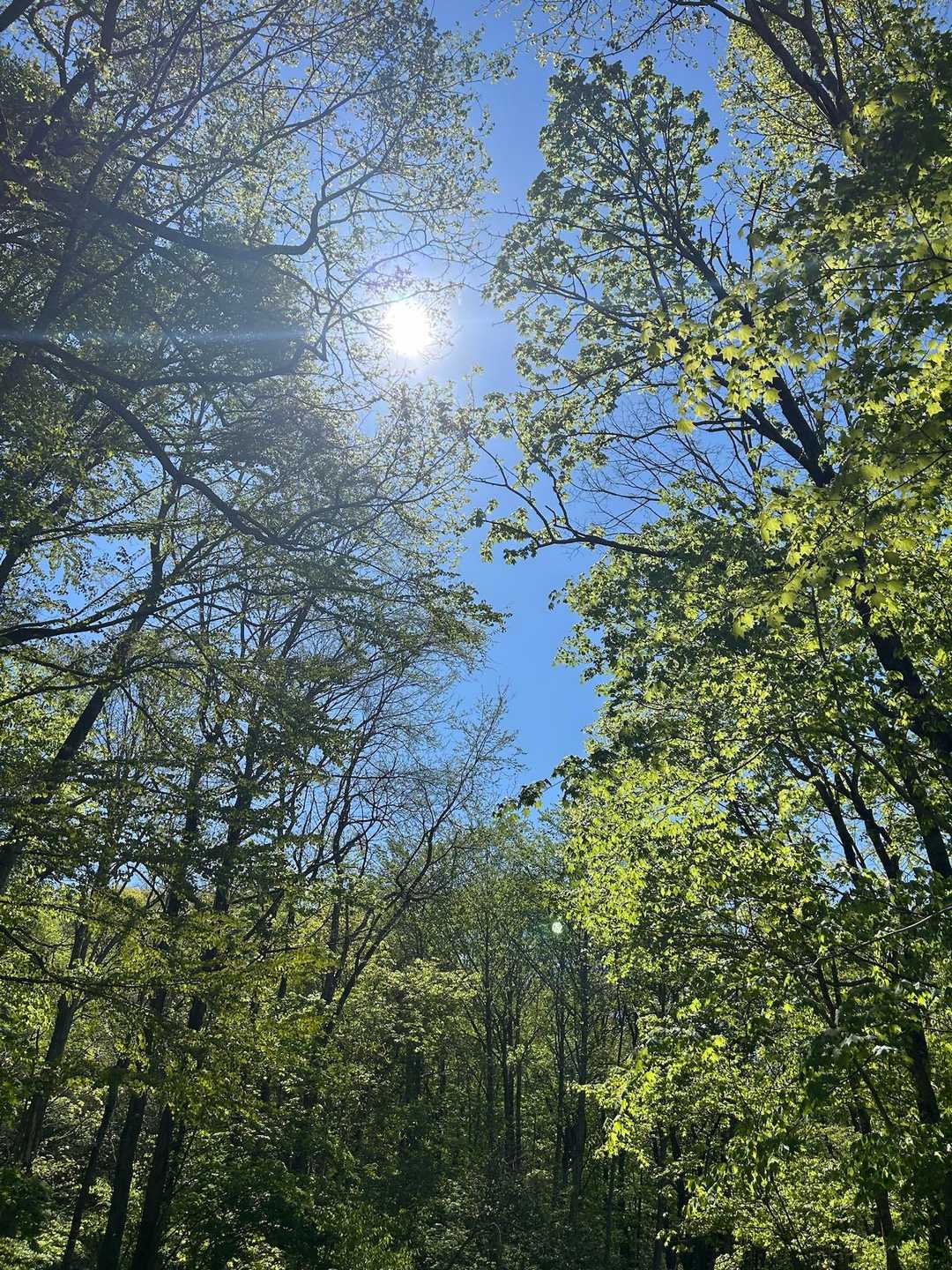 お天気最高☀️青空
