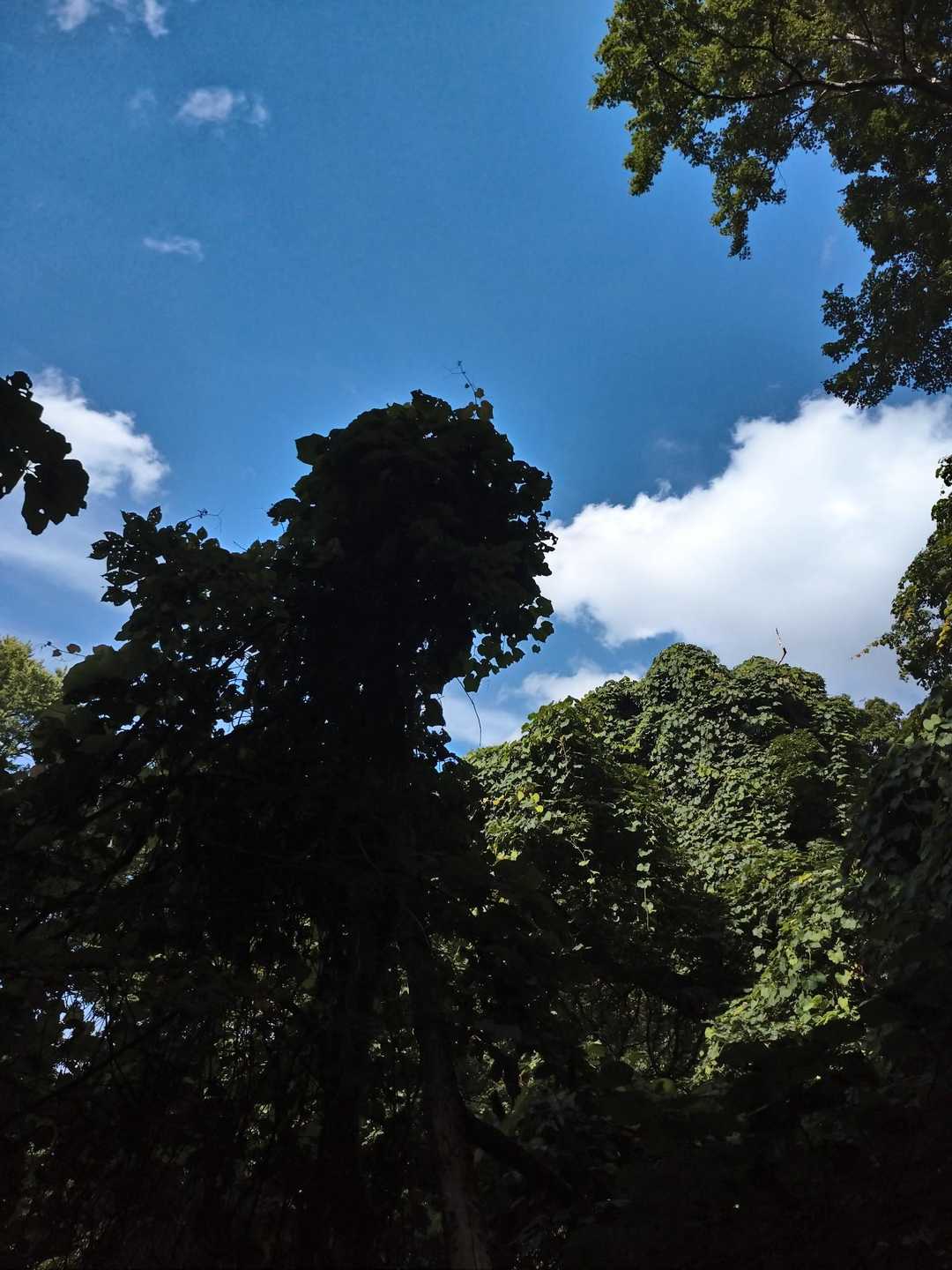 夏の終わりな青空