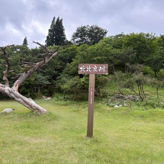 やっと北比良峠