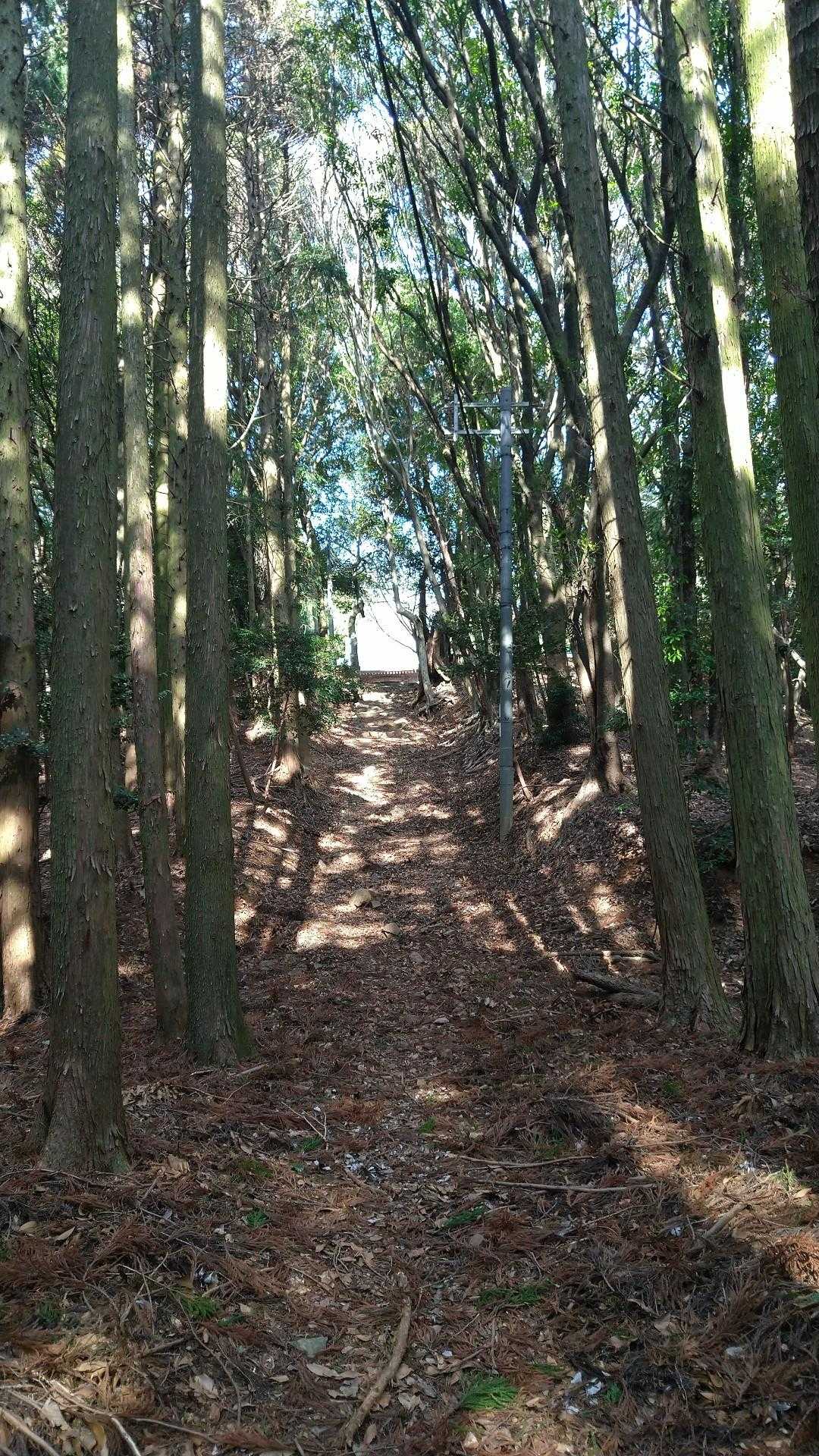 三濃山 往復コースの写真