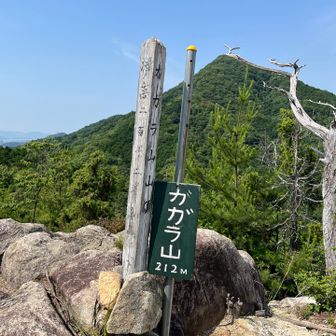 武田山を望む