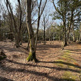太閤ヶ平(たいこうがなる)