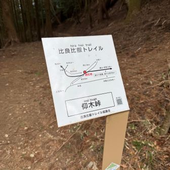 こちらにもまた挑戦してみたい😆