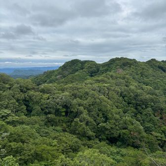 山頂着きました😆