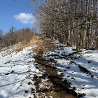 チェンスパ外した